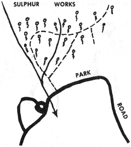 Trail map