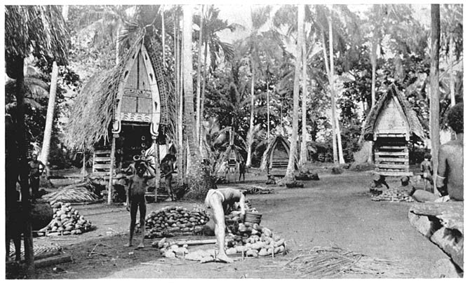 Filling a Yam House in Yalumugwa