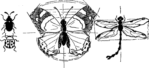 Abb. 27