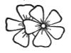 Decorative flower drawing