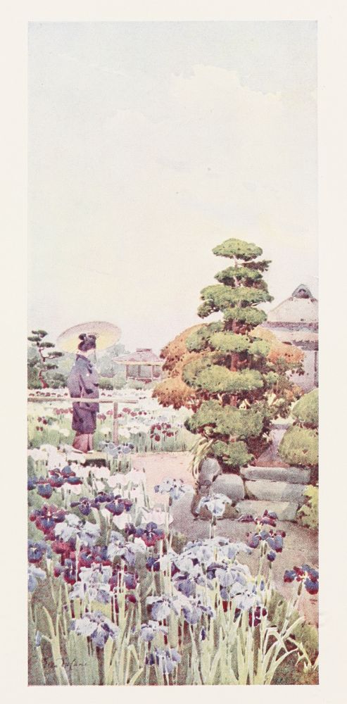 The Project Gutenberg eBook of The flowers and gardens of Japan 