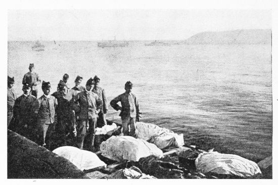 [Image unavailable.]