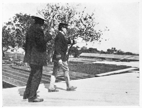 [Image unavailable.]