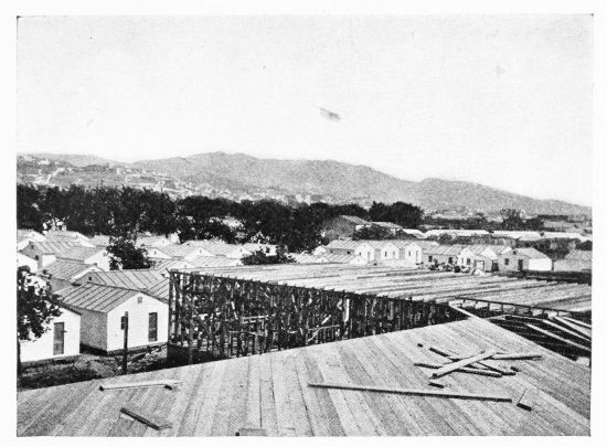 [Image unavailable.]