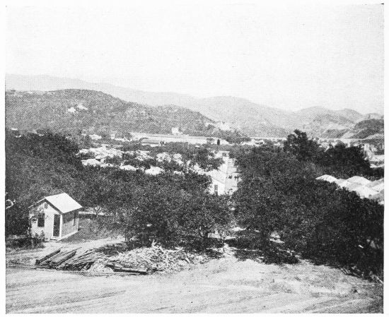 [Image unavailable.]