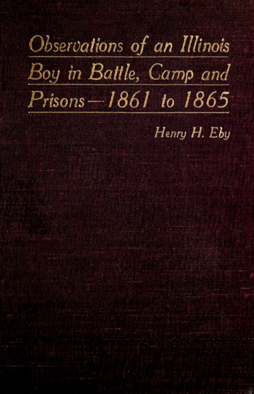 Observations Of An Illinois Boy In Battle Camp And Prisons 1861