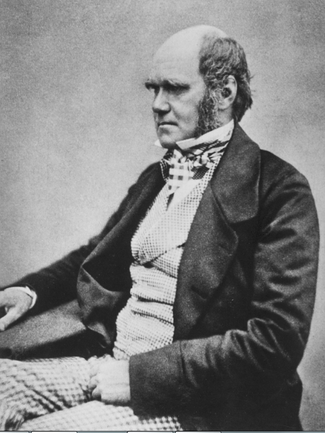 The Complete Work of Charles Darwin Online