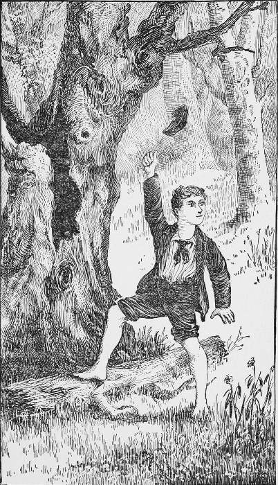 On finding the stolen silver, Fred threw his cap in the
air and gave a shout