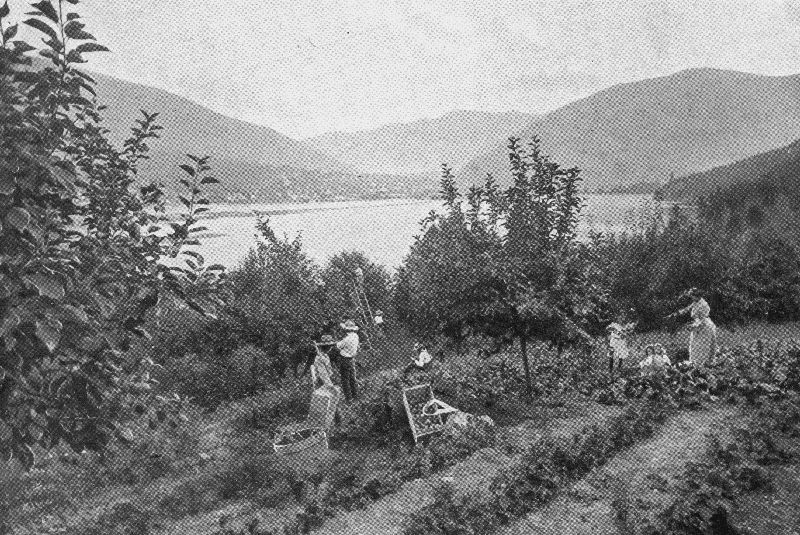 First Nations dip net fishing Telkwa British Columbia