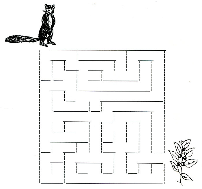 Maze