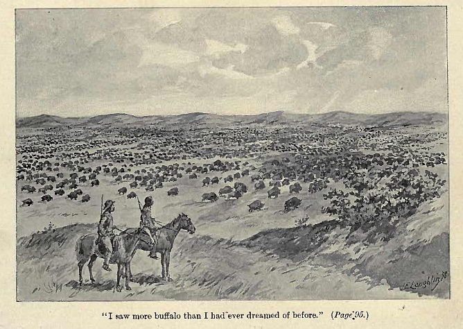 "I saw more buffalo that I had ever dreamed of before."