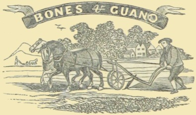 Graphic of Bones & Guano banner with man ploughing