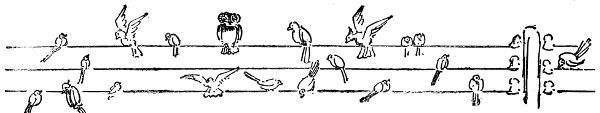 Birds on telegraph wire