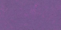 XXV_63′_i_Litho_Purple