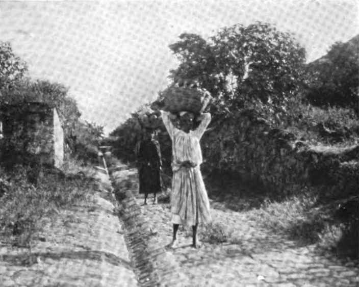 A Rodriguan 'mountaineer' holds a ravane, the traditional tom-tom made