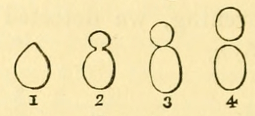 Fig. 26.