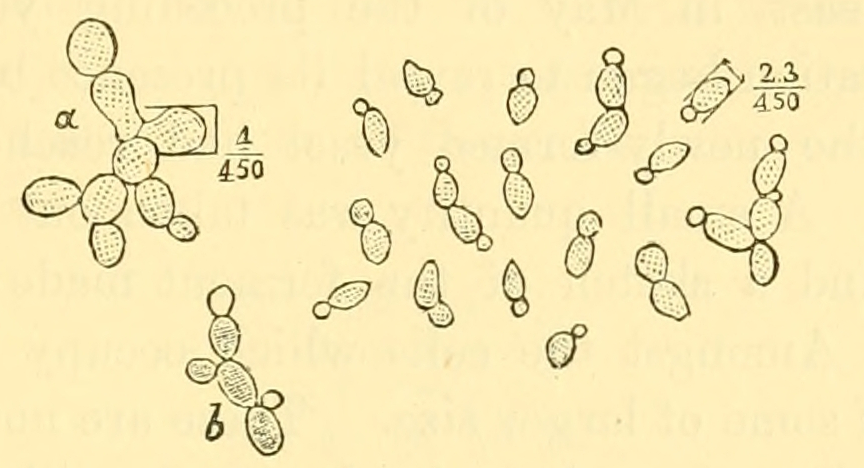 Fig. 52.