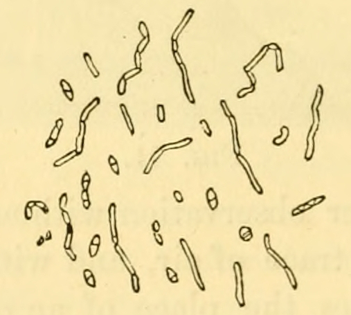 Fig. 72.