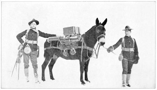 Illustration: Adams mule and Coleman