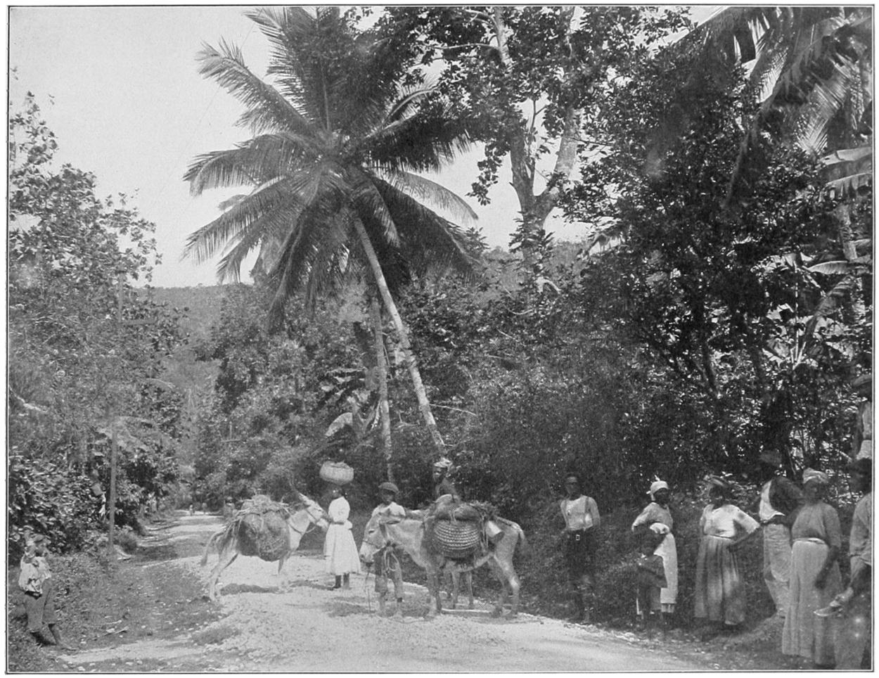 THE DUTCH POT JAMAICAN RESTAURANT - 48 Photos & 49 Reviews - 2484