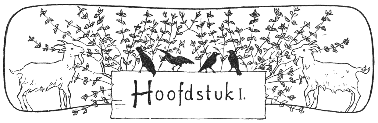 Hoofdstuk I.