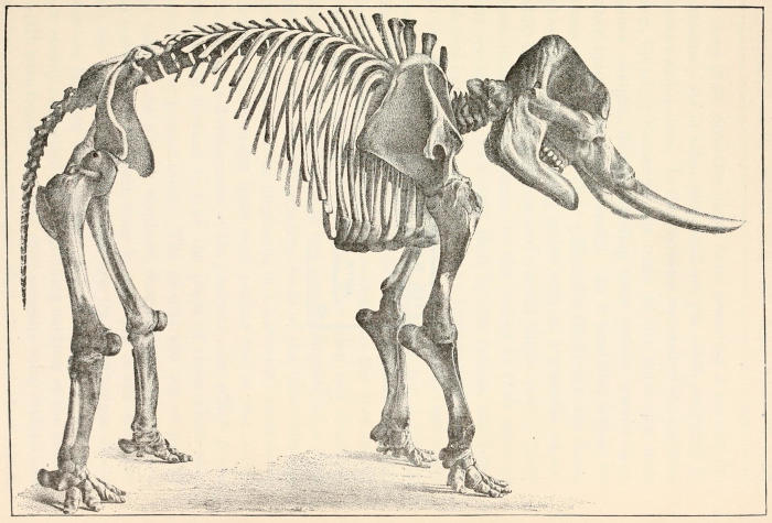 Unnerve - Mammoth Memory definition - remember meaning