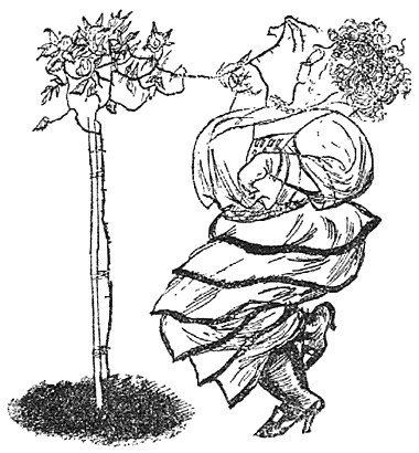 As the woman bent down to pick the flowers, the Rose-bush
hit her in the face with a twig.