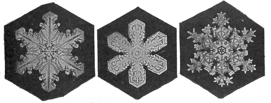 Snowflake, the symbol of winter: different sizes, infinite shapes -  Chalkdust