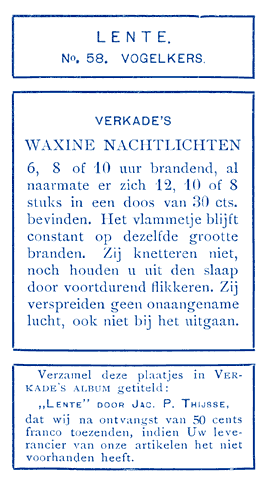 Vogelkers.