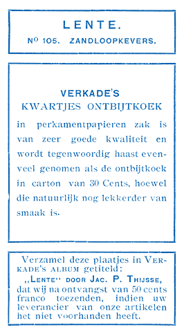 Zandloopkevers.