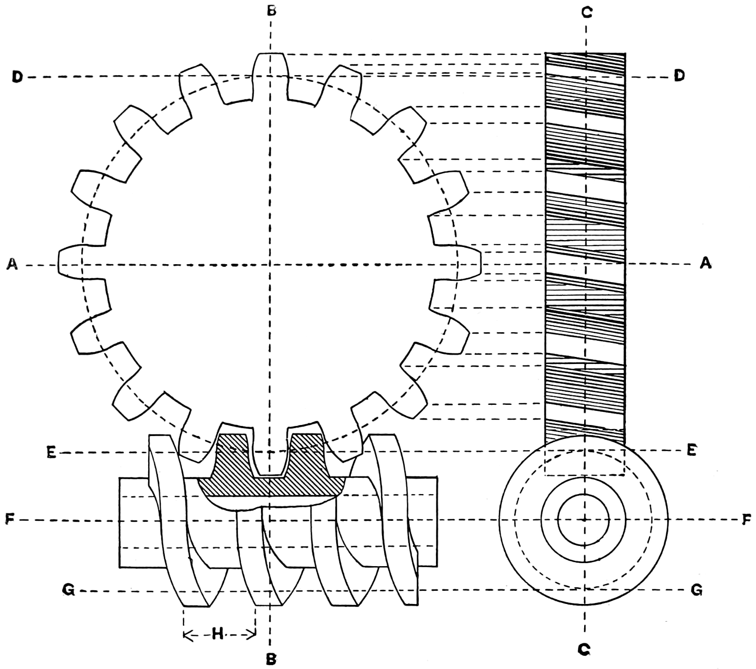 Worm and worm wheel