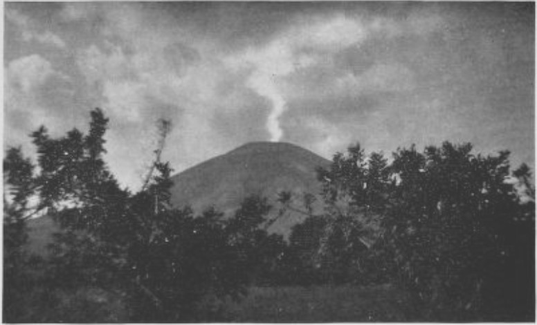 THE ABUNDANT CENTRAL-AMERICAN VOLCANOES FERTILIZE THE COFFEE
FINCAS WITH LAVA DUST