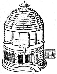 Types of Bee Hives