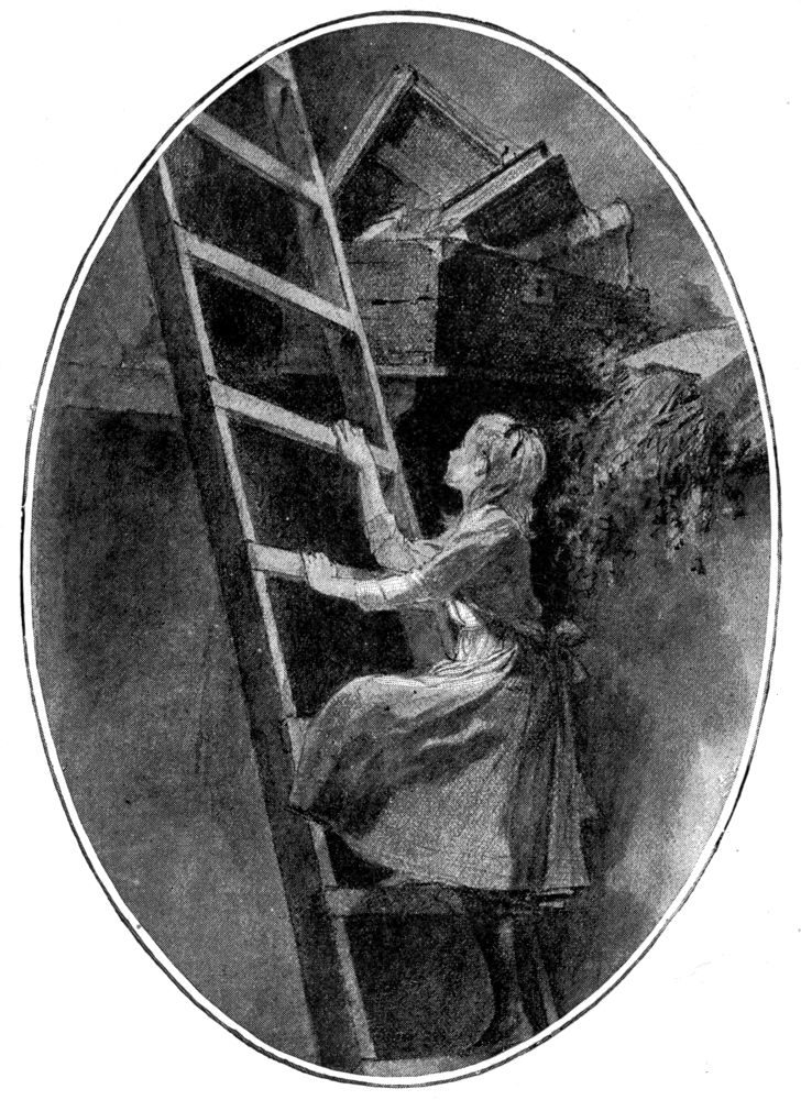 UP THE LADDER TO THE SCUTTLE