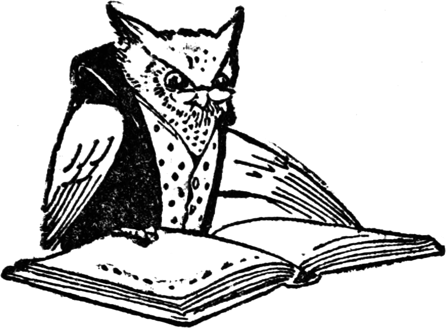 Illustration of an owl reading a book