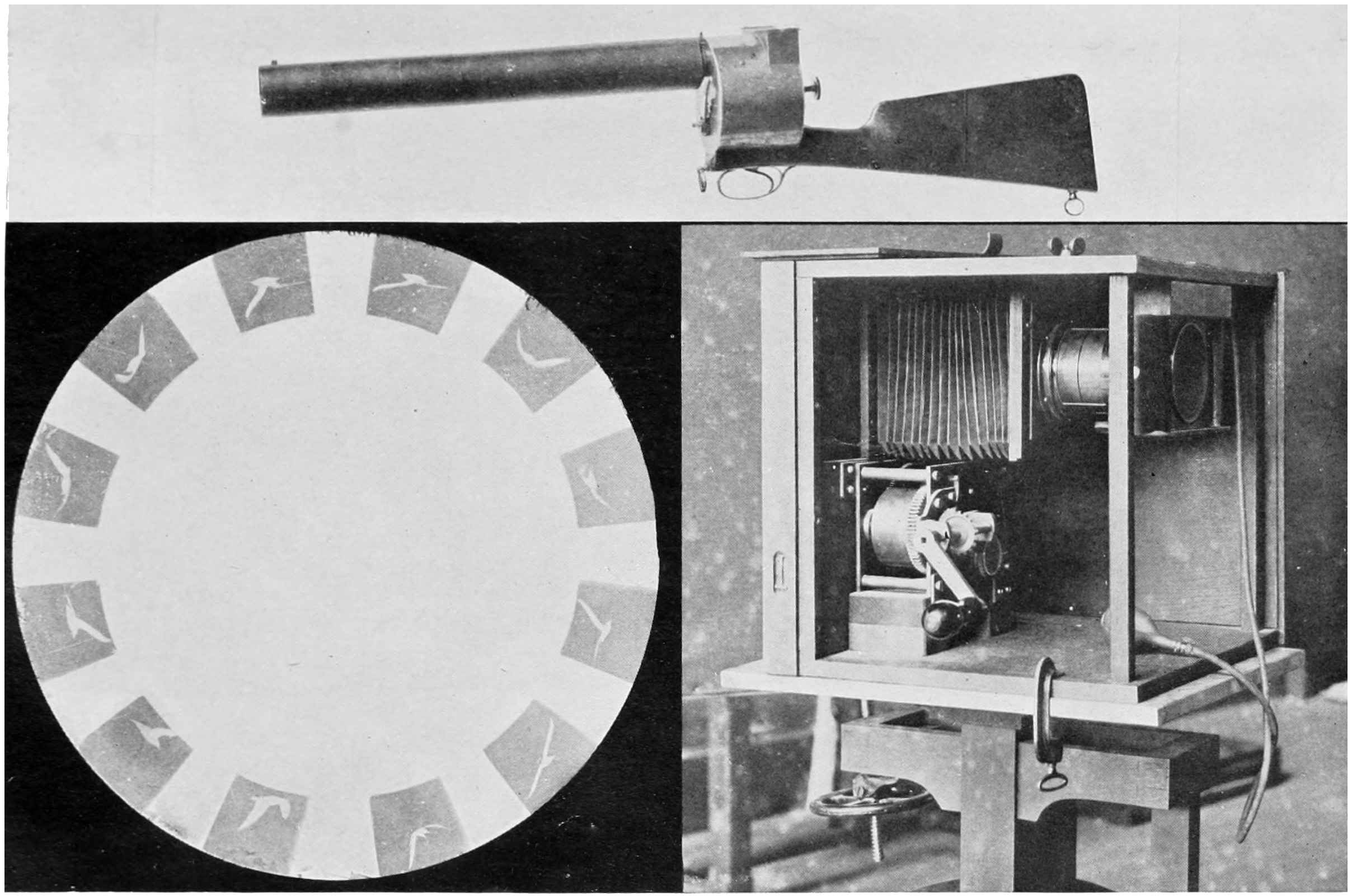 Eastman Kodak Graduated Measuring Beaker - Ruby Lane