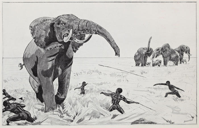 The Project Gutenberg eBook of The Wanderings of an Elephant Hunter, by W.  D. M. Bell.