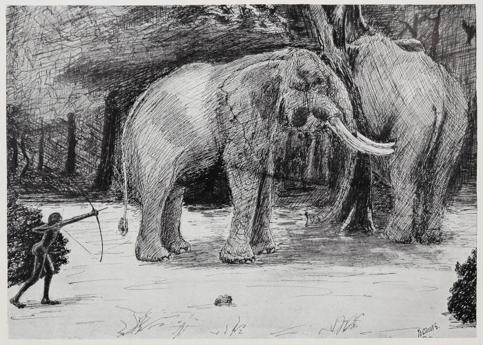 LEG-30 {Marching Elephants} Elephant Printed Black Leggings EXTENDED PLUS  SIZE