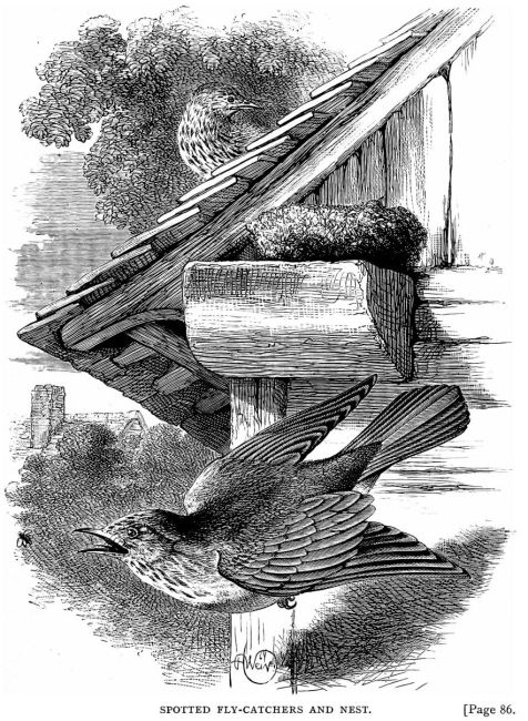 Hanging a Hammock - The Country Wren's Nest
