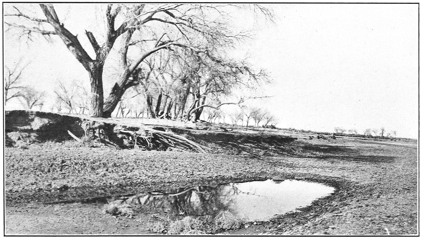 THE DRYING BED OF THE LITTLE COLORADO RIVER