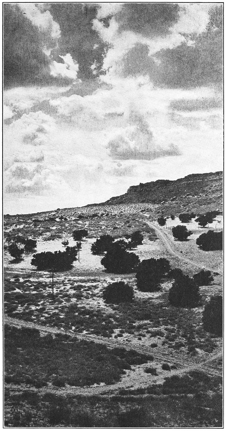 THE WALPI HEADLAND, SEEN FROM THE DESERT ORCHARDS