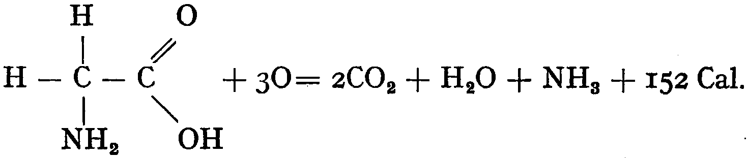 CH₂NH₂-COOH + 3O = 2CO₂ + H₂O +NH₃ + 152 Cal.