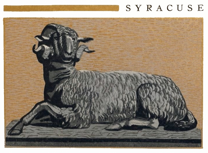 Pied de lampe bois noir Syracuse – Cassis Royal