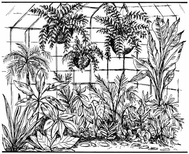 All About Miniature Plants and Gardens Indoors and Out, by Bernice  Brilmayer—A Project Gutenberg eBook