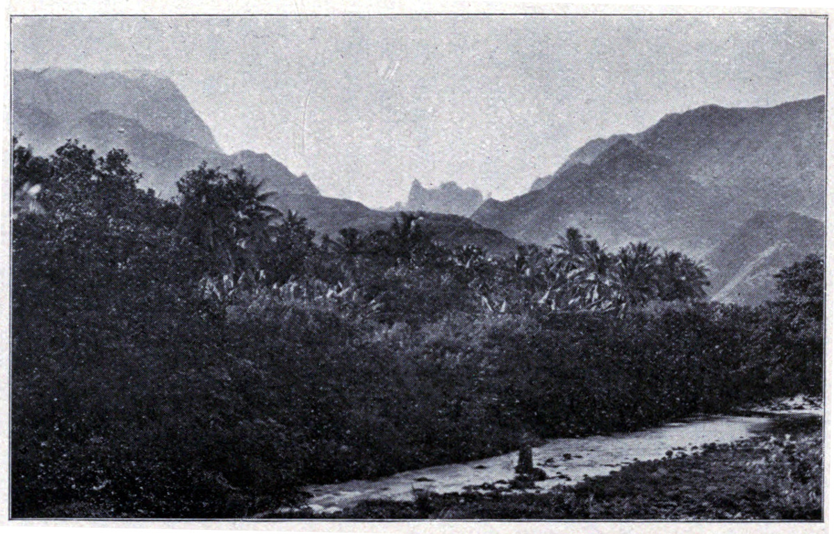 A VIEW OF FAUTAHUA VALLEY