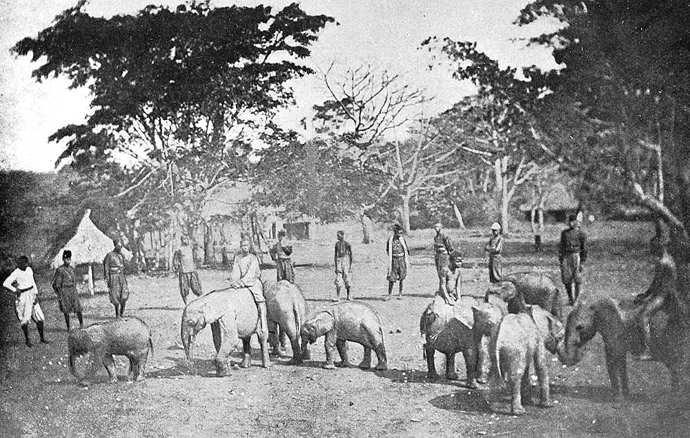 The Story Of the Congo Free State | Project Gutenberg