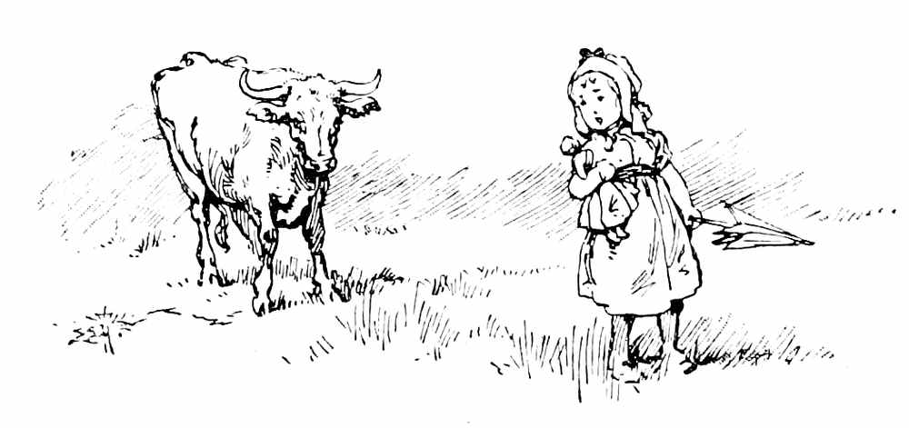 Cow following girl