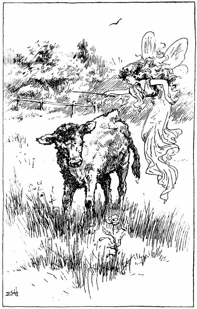 Cow and fairy