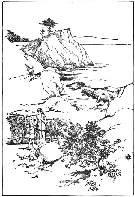 Docas and Oshda brought the hides and tallow down to the beach
in the ox-carts
