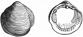 Fig. 695.